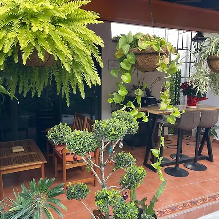 Mini Loft En Coyoacan Villa