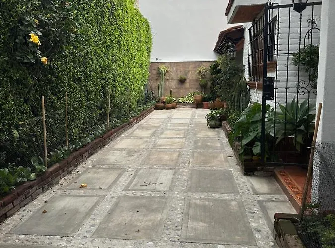 Mini Loft En Coyoacán Сasa de vacaciones *