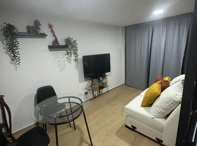 Mini Loft En Coyoacán * México DF