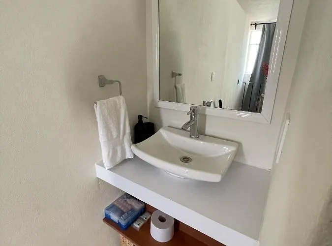 Mini Loft En Coyoacán * México DF