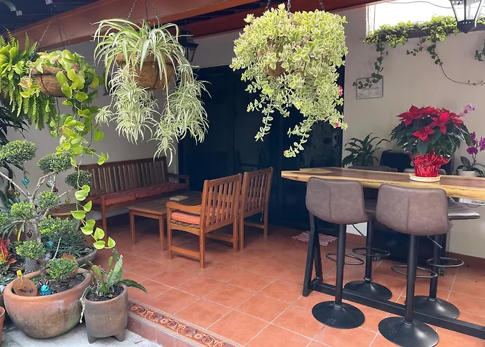 Mini Loft En Coyoacán * México DF