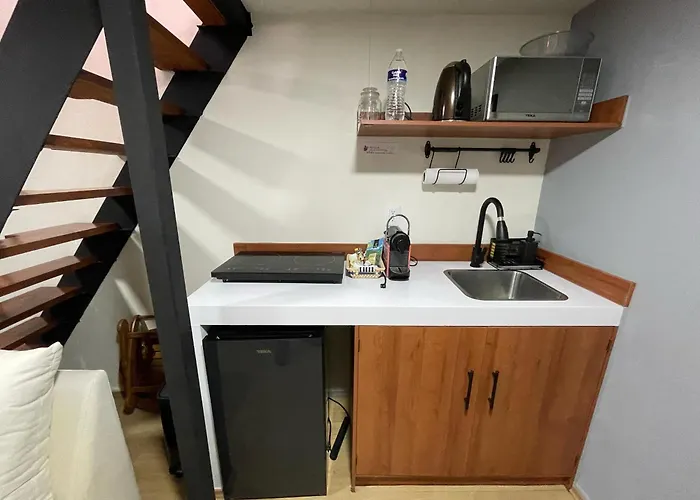 Mini Loft En Coyoacán * México DF